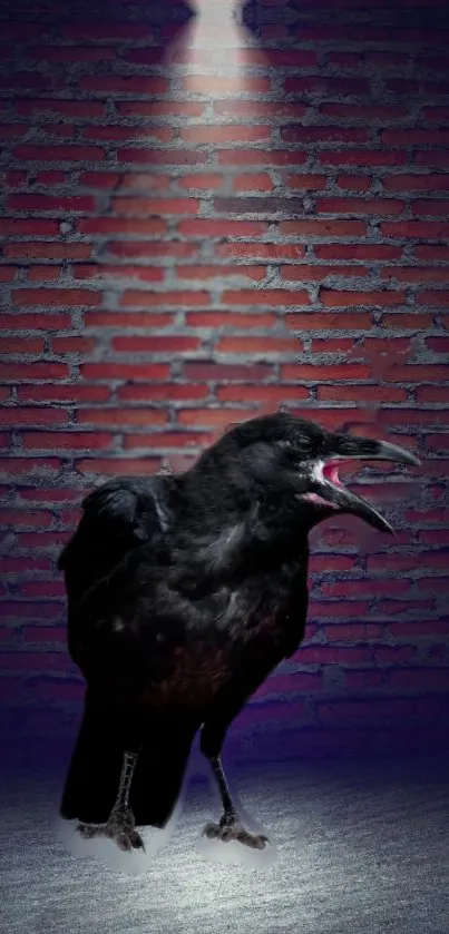 Crow in spotlight on red brick wall background.