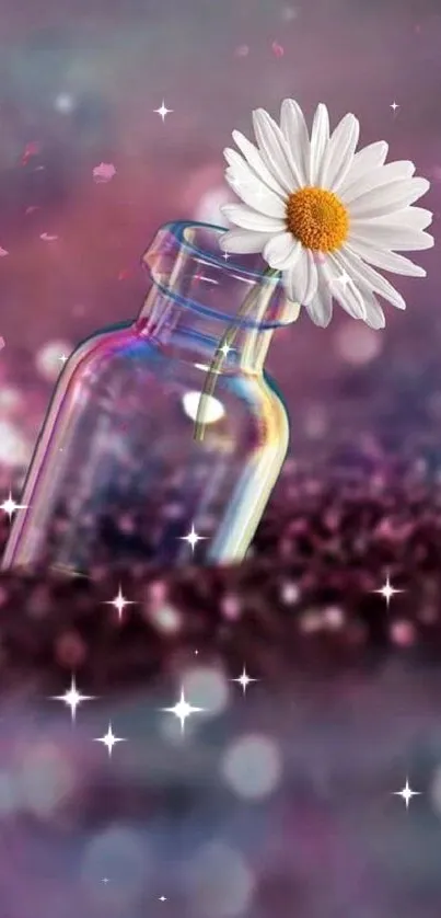 Daisy in glass bottle with bokeh background wallpaper.