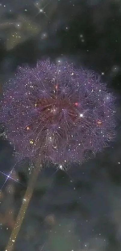 Purple dandelion with starry night sky and sparkling effects background.