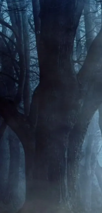 Mysterious dark forest with mist and shadowy trees in blue tones.