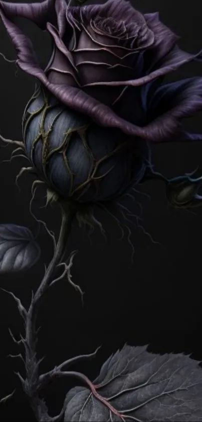 Dark mystical rose with intricate details.