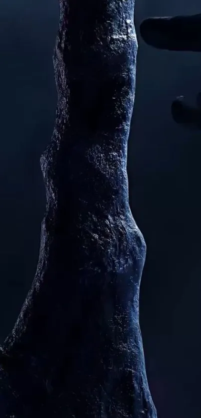 Dark tree silhouette against shadowy background.