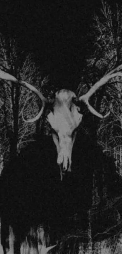 Gothic deer skull silhouette in a dark forest background.