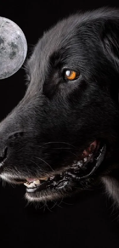 Black dog and moon wallpaper, dark and mystical.