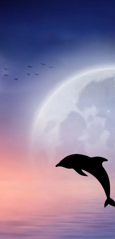 Silhouette of a dolphin under a mystical moonlit night sky.