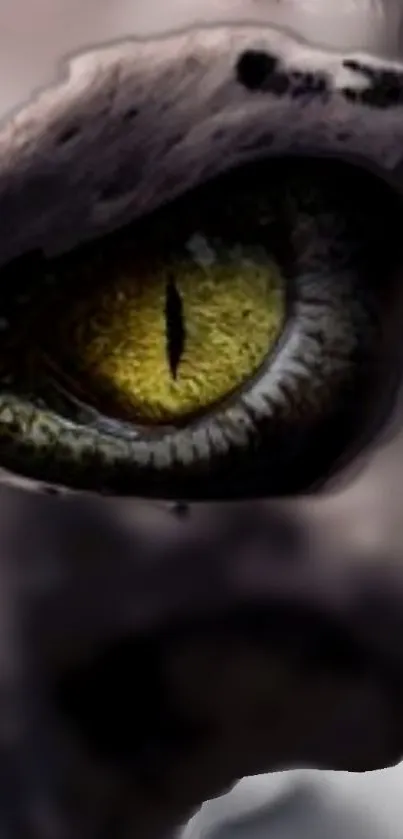 Close-up of a mystical dragon eye in dark brown hues for mobile wallpaper.