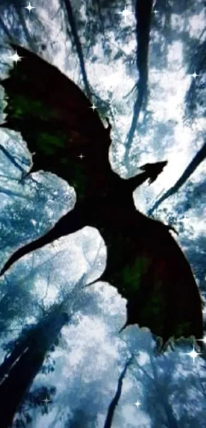 A dragon silhouette set against a mystical forest backdrop.