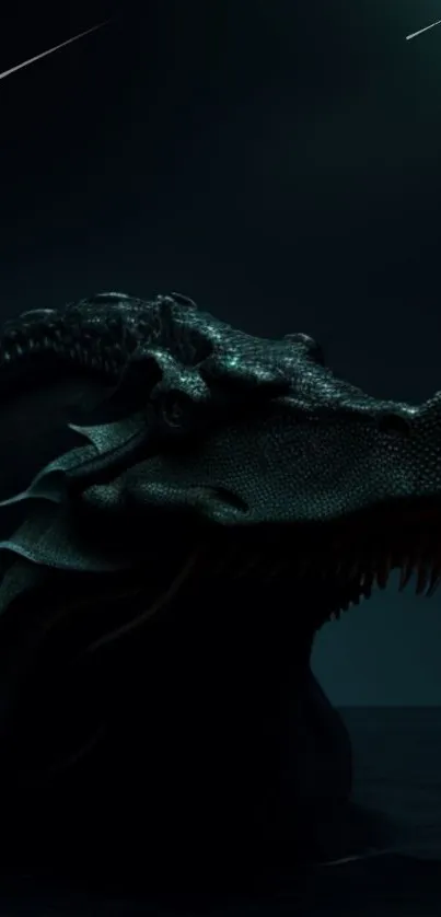 Dark mystical dragon under starry sky wallpaper