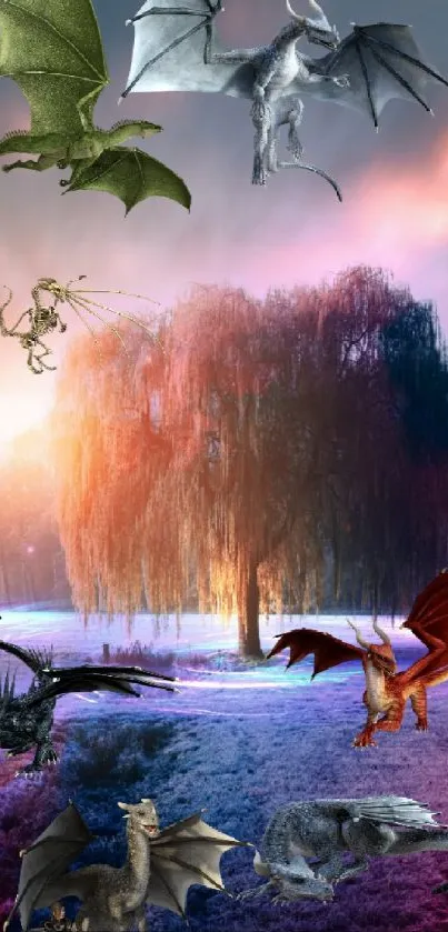 Vibrant fantasy wallpaper with dragons in a mystical landscape.