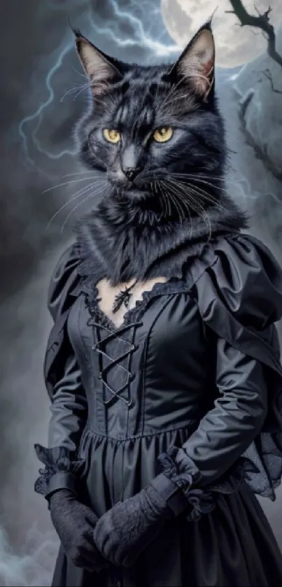 Gothic cat portrait in black dress under moonlight.