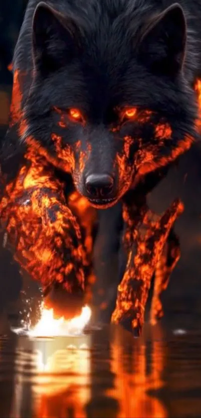 Mystical fiery wolf walking through water.