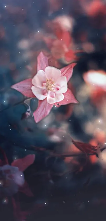 Mystical pink flower with dark background wallpaper.