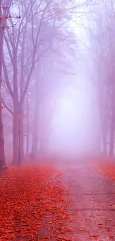 Foggy forest path with red leaves.