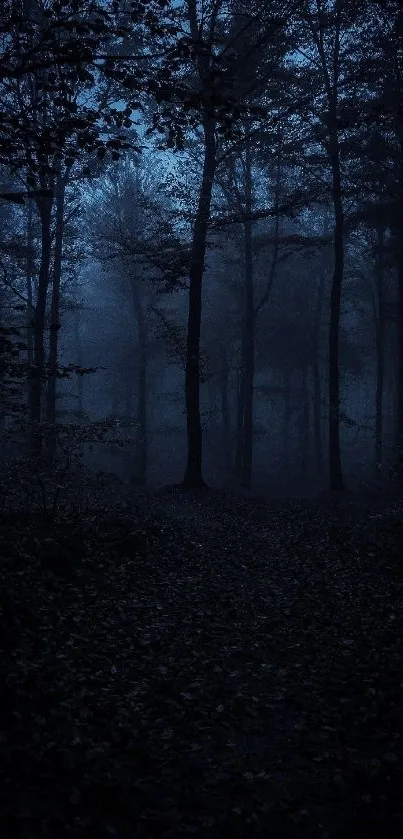 Mystical foggy forest with tall trees and deep blue hues.