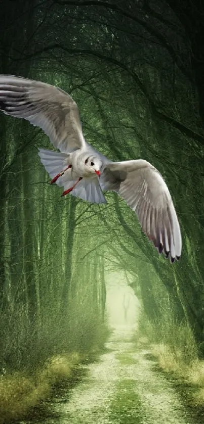 Owl flying through a dark, mystical forest setting.