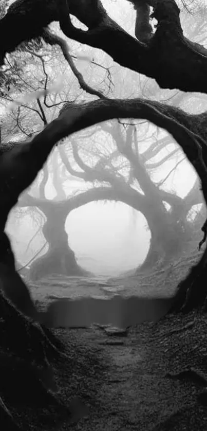 Black and white photo of a foggy forest with a tree archway.