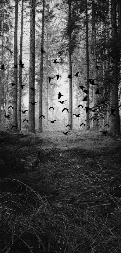 Black and white forest with flying birds in serene scene.