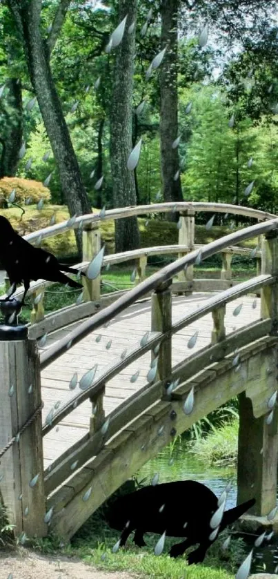 Scenic mystical forest bridge with crows and raindrops, perfect for nature enthusiasts.