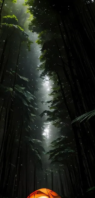 Mobile wallpaper of a tent in a dark forest with tall trees overhead.