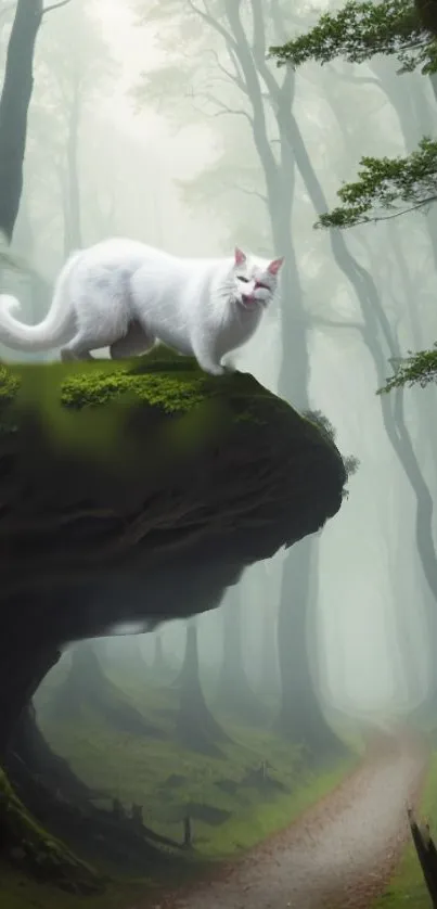 Mystical forest with white cat on rock, surrounded by misty trees.