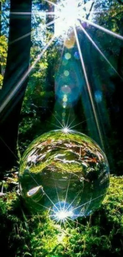 Sunlit crystal in a vibrant forest setting with lush greenery.