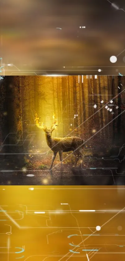 Majestic deer in a golden light forest with digital elements in the background.