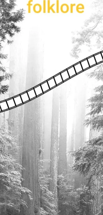 Monochrome forest with filmstrip overlay.