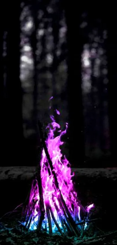 Purple flames illuminating a dark forest at night.