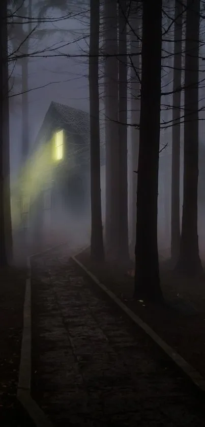 Mysterious house in dark forest with glowing window.