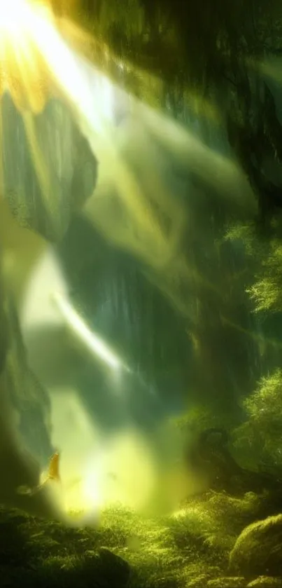 Mystical forest with sunlight filtering through lush greenery.