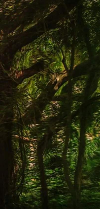 Lush green forest with twisted trees.