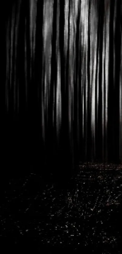 Mysterious dark forest with tall trees and soft light.