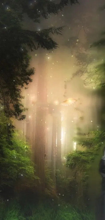 Mystical forest with enchanting glow and mysterious figure.