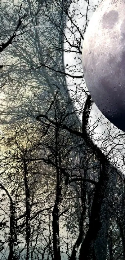 Mystical moonlit forest with tree silhouettes and moon.