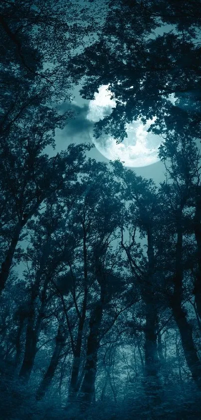 Mystical forest under a bright moonlight.