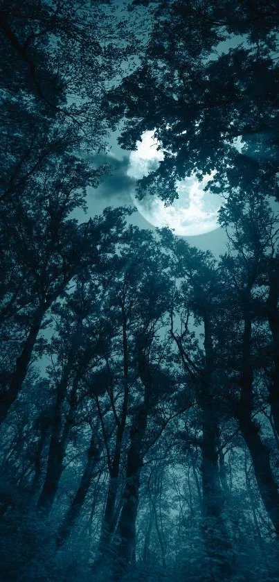 Forest under a full moon with teal-blue hues creating a mystical vibe.