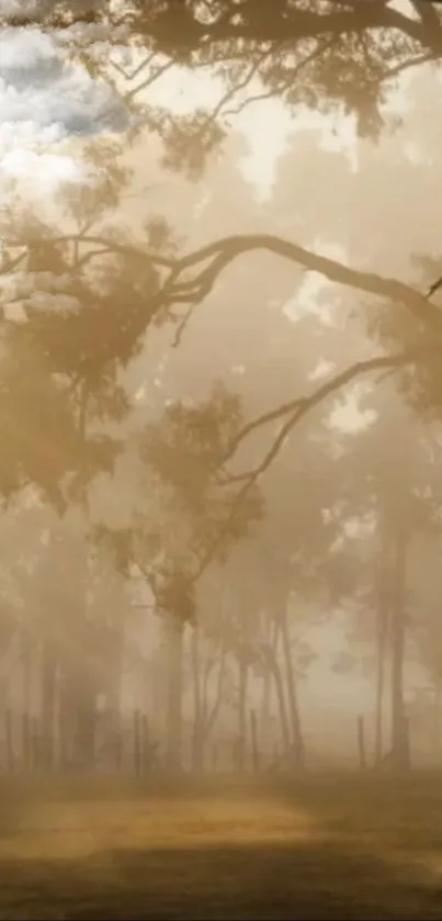 A mystical forest with fog at dawn, featuring golden light filtering through trees.