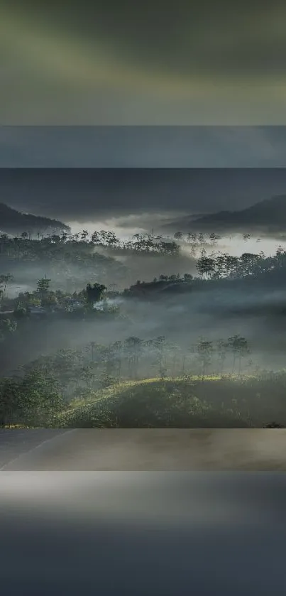 Mist-covered forest with rolling hills and morning light.