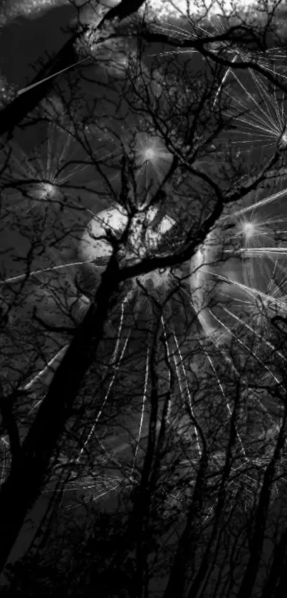 Mystical forest at night with silhouetted trees against a dark sky.