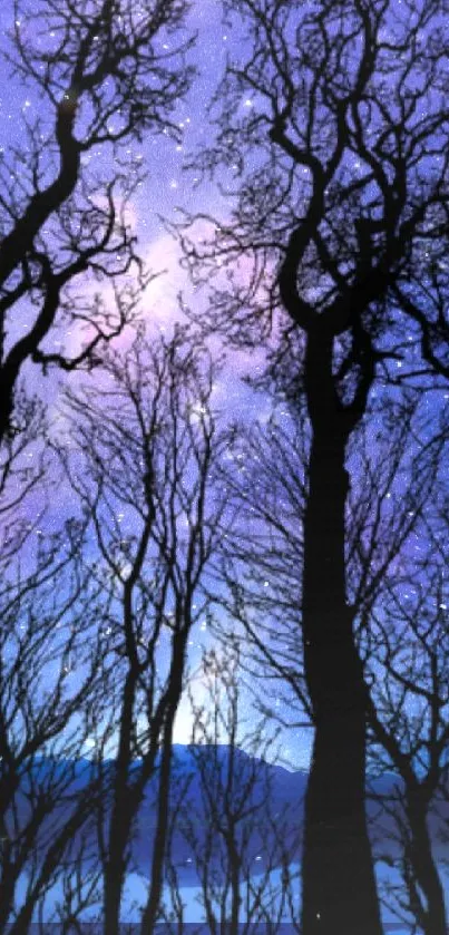 Silhouetted trees against a starry deep blue night sky.