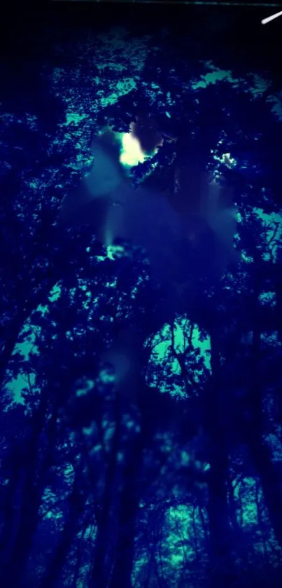 Mystical forest scene at night in rich blue tones for mobile wallpaper.