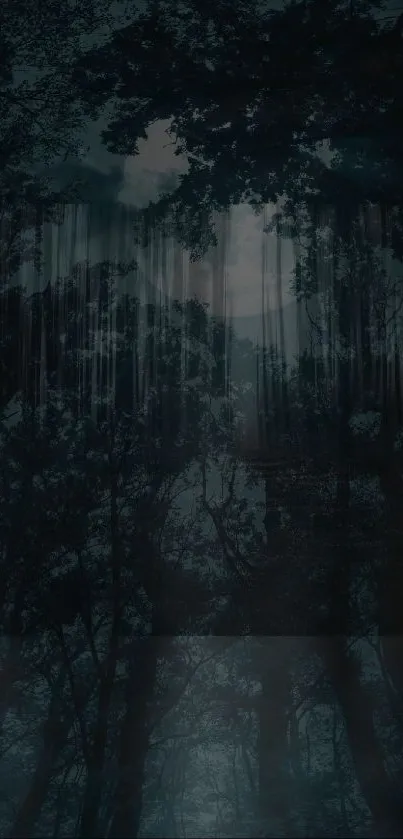 Mystical forest night scene with dark trees and moonlight.