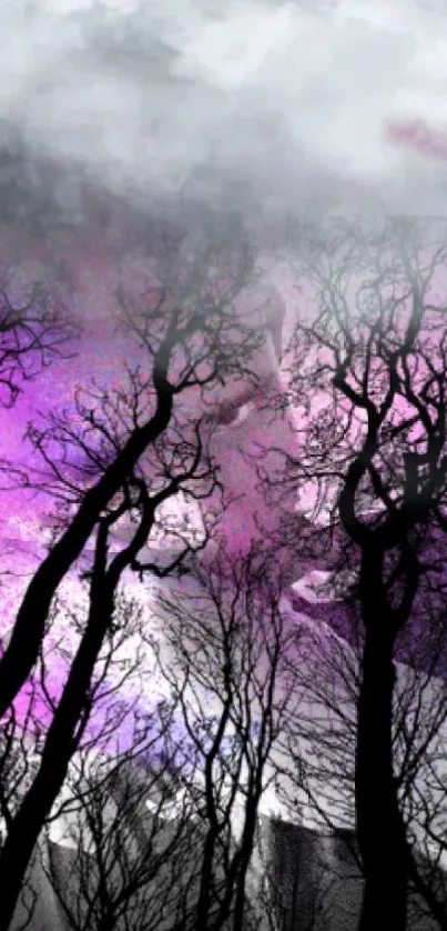 Mystical night forest with purple sky and silhouetted trees for mobile wallpaper.