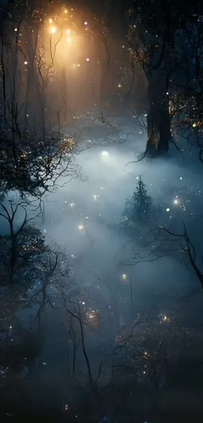 Mystical forest with glowing lights at night.