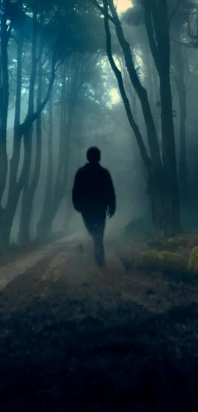 Silhouette walking down a mystical forest path at dusk.