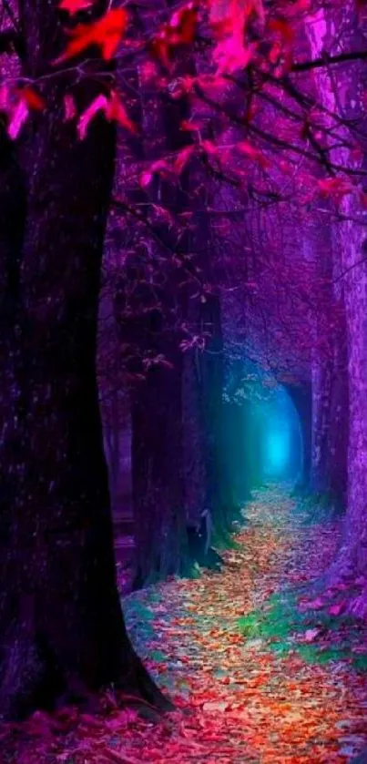 Mystical forest path with vibrant purple hues and colorful leaves.