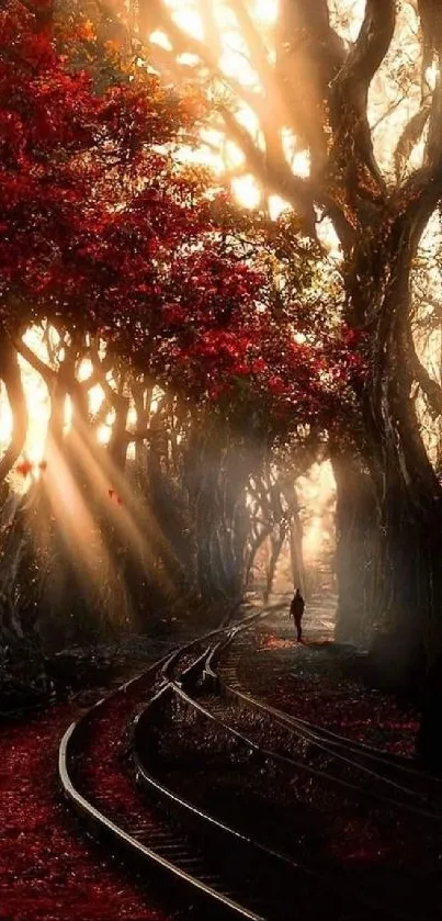 Mystical forest path with glowing sunlight surrounded by trees.