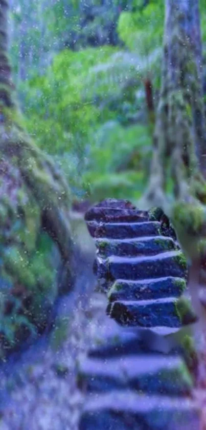 Mystical forest path with stairs, surrounded by lush green trees.