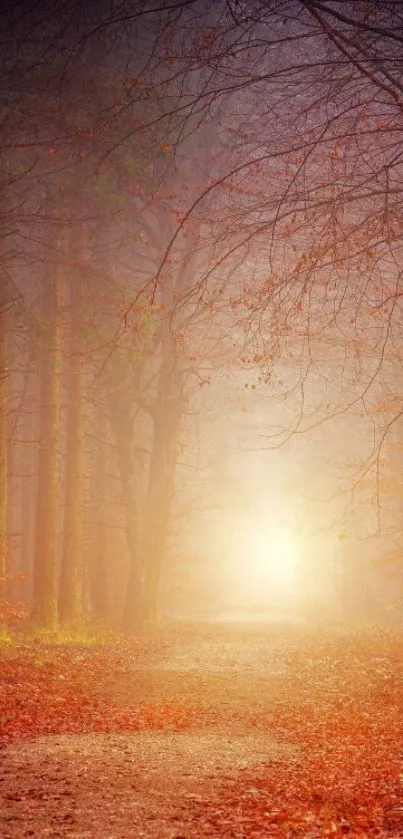 Mystical forest path with autumn leaves and glowing light.