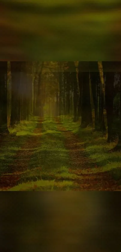 Mystical green forest path with vibrant foliage and soft light.